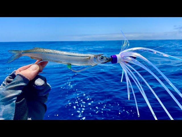 This new lure changed the game! | What a day!!