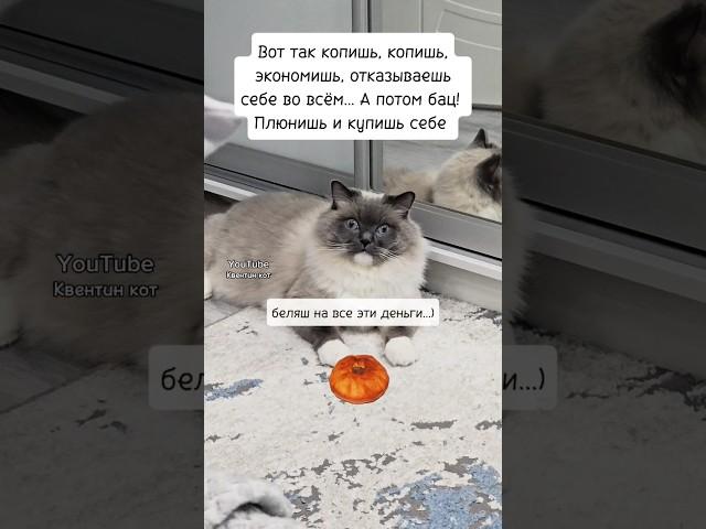 А почему бы и нет Гулять так гулять