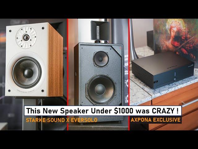 NEW Audiophile Speakers and Amplifier UNDER $1000 Stole The Show! @AXPONA