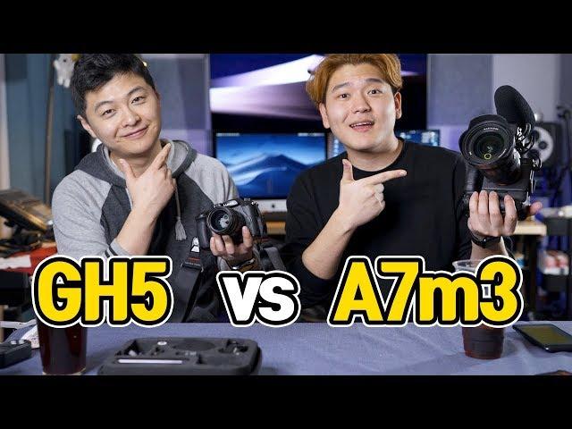 Panasonic GH5 VS A7m3 Comparison