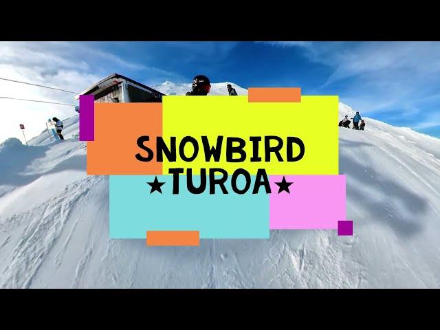 Snowbird @Turoa Snowboarding downhill (rear camera)