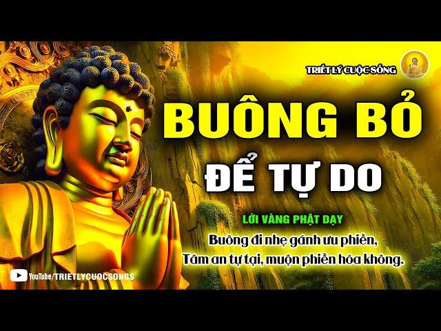 Lời Phật Dạy: Buông bỏ để tự do! Bí quyết sống an nhiên giữa vô thường