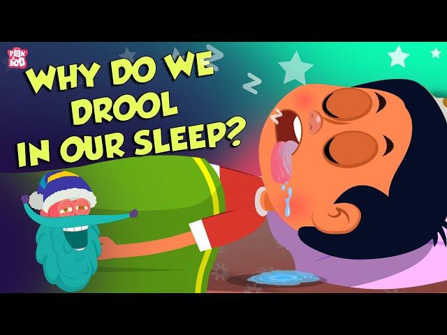 Why Do We Drool In Our Sleep? | Causes of Drooling | The Dr Binocs Show | Peekaboo Kidz