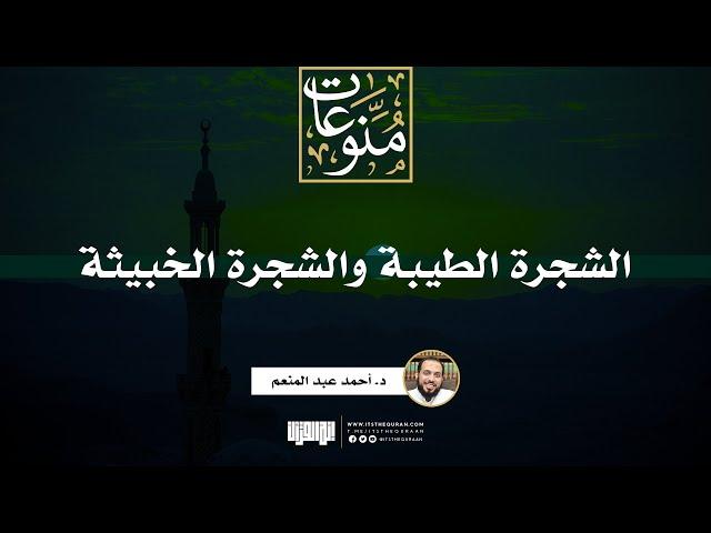 الشجرة الطيبة والشجرة الخبيثة | خطبة | د. أحمد عبد المنعم