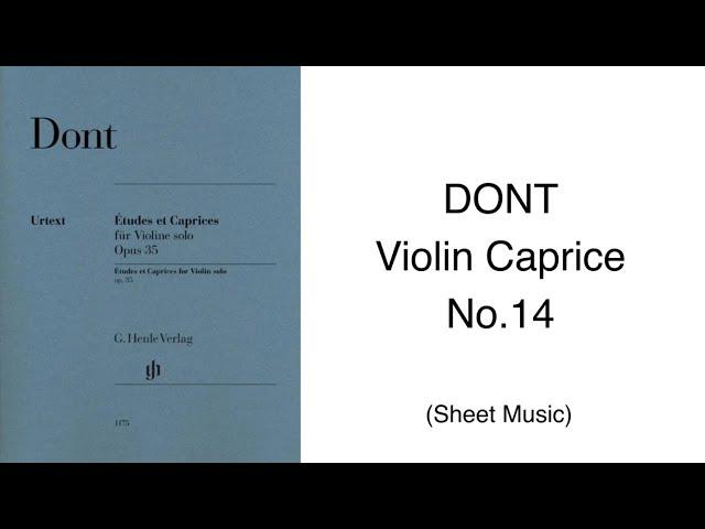 DONT 24 Violin Caprice No.14