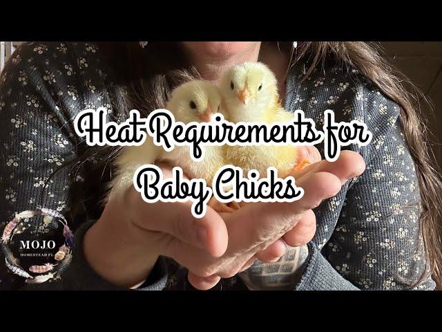 **HEAT REQUIREMENTS** for raising Baby Chicks