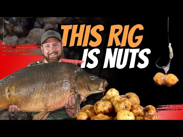 THIS BAIT & RIG ARE THE ABSOLUTE B#LL#CKS | CARP FISHING TIPS | MIKE PAYNE | ONE MORE CAST