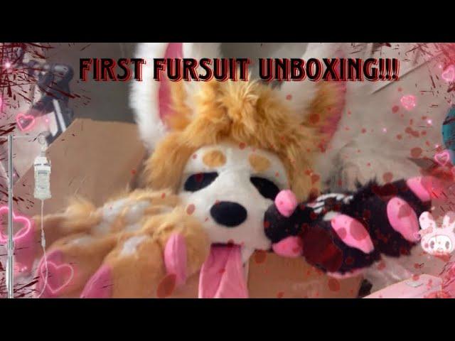 FIRST FURSUIT UNBOXING!!!