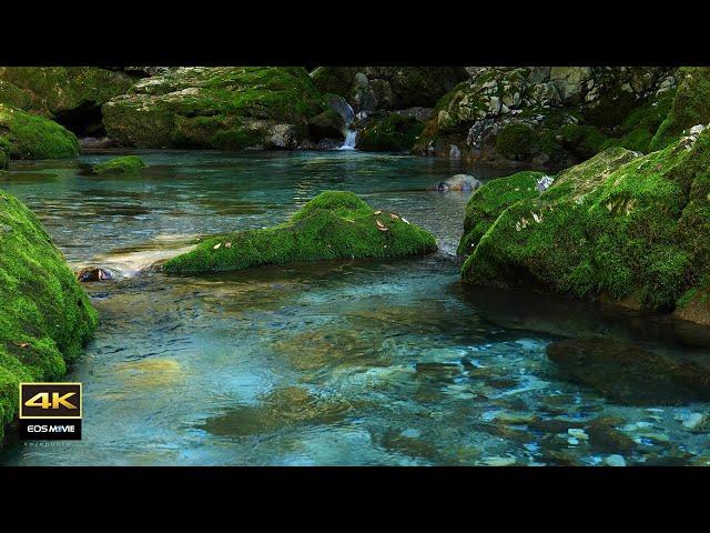 4K video + natural sounds / Beautiful scenery and stream sounds 3 hours