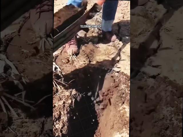 ️️️️️️  Замечательная находка на Вайлдберриз