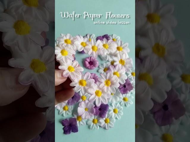 Wafer Paper Filler Flowers @PetyaShmarova online video lesson #waferpaper #waferpaperflowers