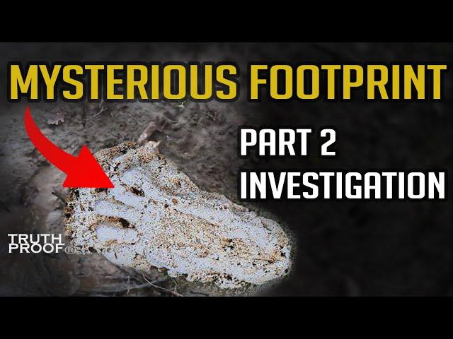 Mysterious Footprint Anomaly in UK Woodlands | Part 2