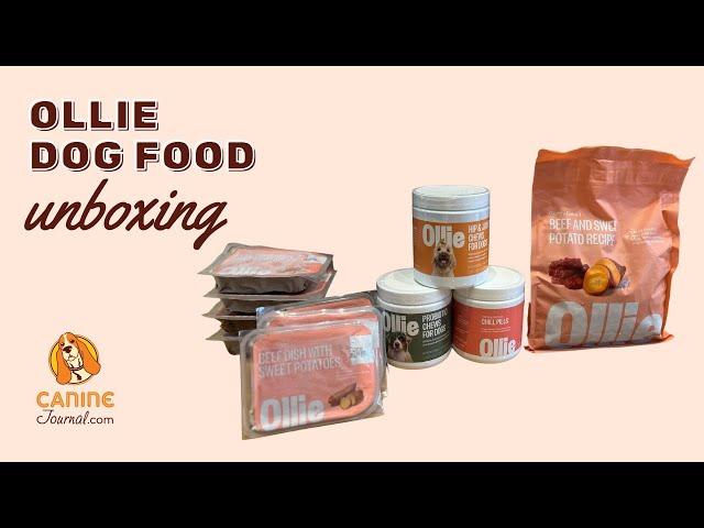 Ollie Dog Food Unboxing