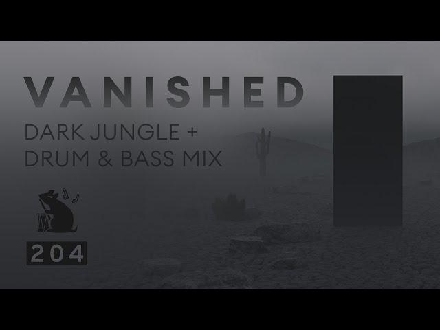 Vanished | Dark Jungle + Drum & Bass Mix