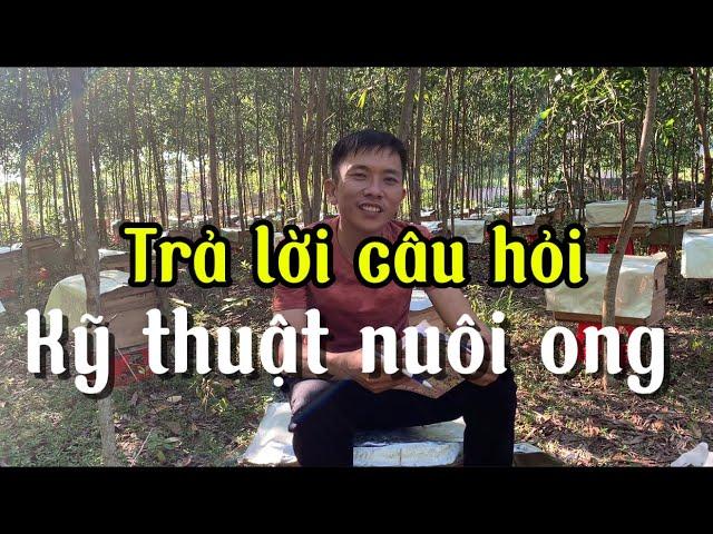 Những điều cần lưu ý cho các bác ae mới vào nghề |quyết chuyên ong