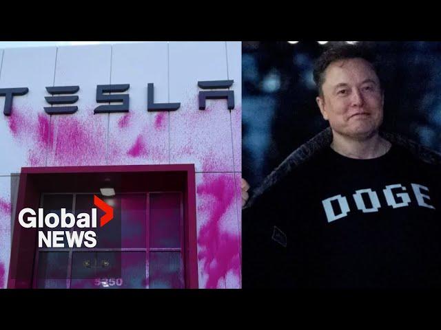 Tesla backlash: As anger against Elon Musk grows, will there be a lasting impact?