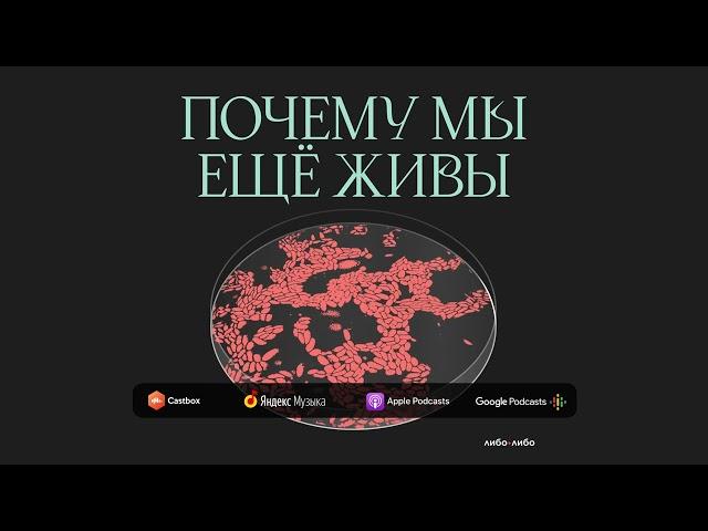 Спасти тех, кого не считают: как появилась военно-полевая хирургия | Почему мы еще живы