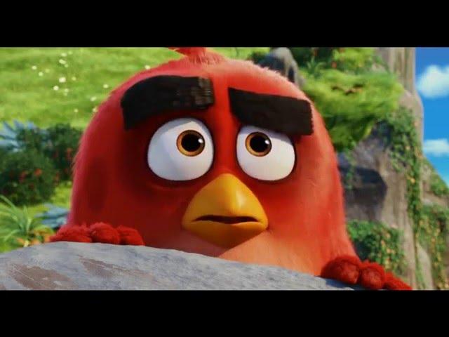 Angry Birds -elokuva I Virallinen suomeksi puhuttu trailer I Elokuvateattereissa 13.5.2016