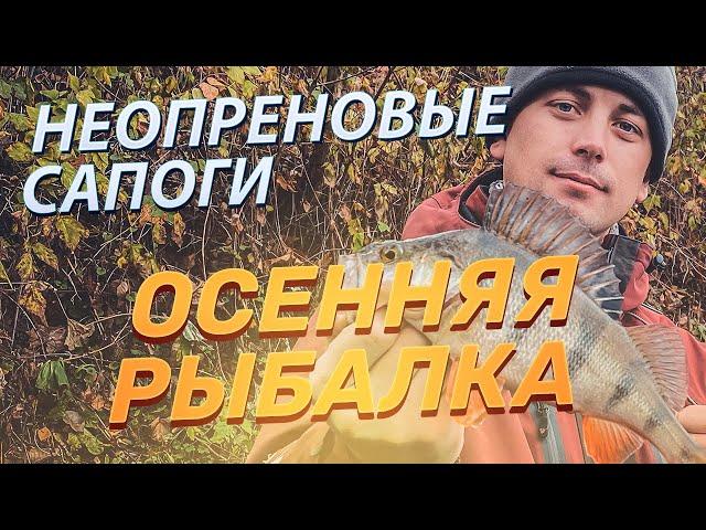ОСЕННЯЯ РЫБАЛКА в НЕОПРЕНОВЫХ САПОГАХ! МАСТЕР рыболов делится советами!