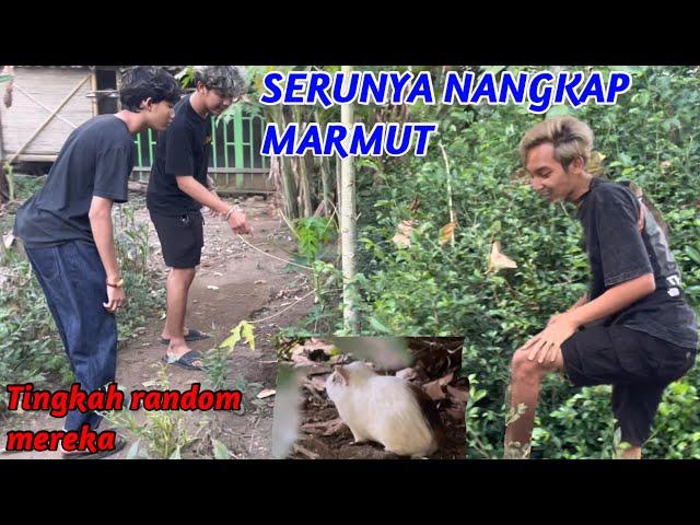 NANGKAP MARMUT AJA JADI SESERU INI..!! Emang Randomnya mereka