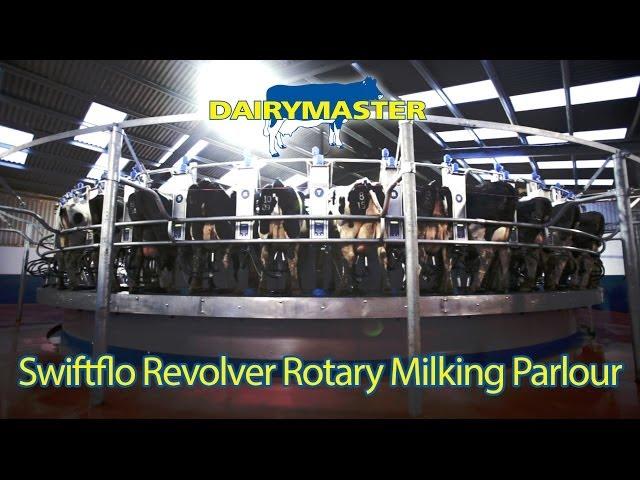 Dairymaster's Swiftflo Rotary Milking Parlour