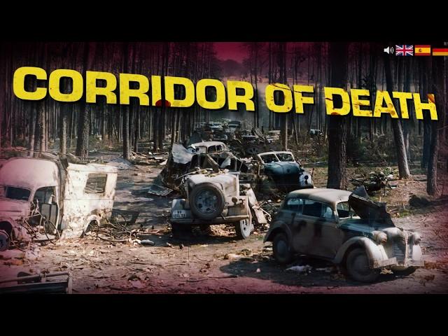 The Last Battle of the German 9th Army: The Halbe Pocket (WW2 Documentary)