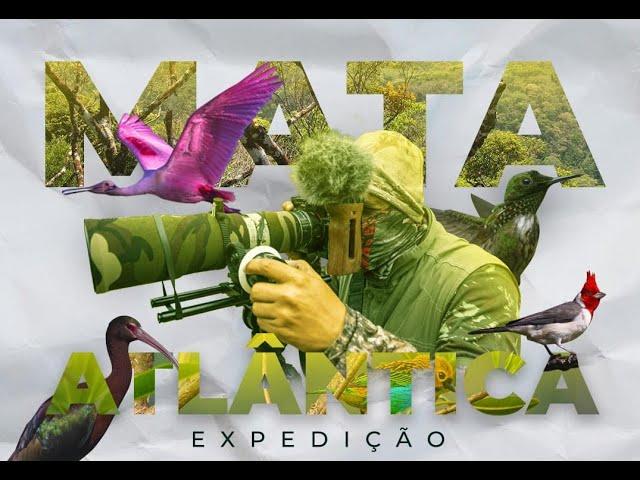 Observação de aves - Expedição Mata Atlântica - Joinville SC - Ep 4