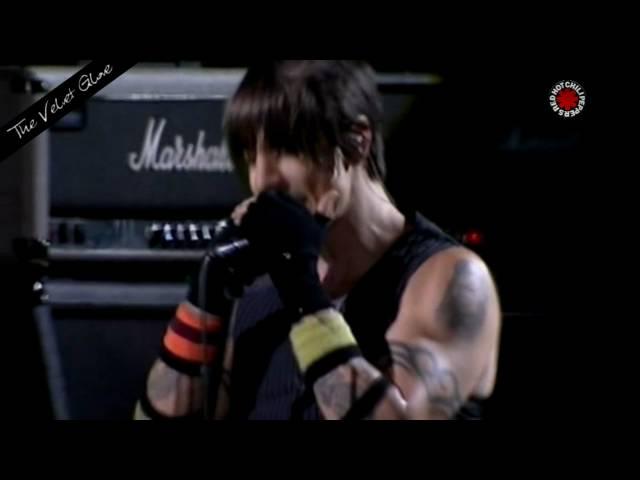 Red Hot Chili Peppers - The Velvet Glove - Live in Chorzów