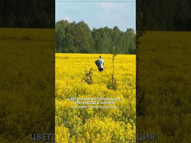 Цветочное поле для красивых фотографий возле Казани