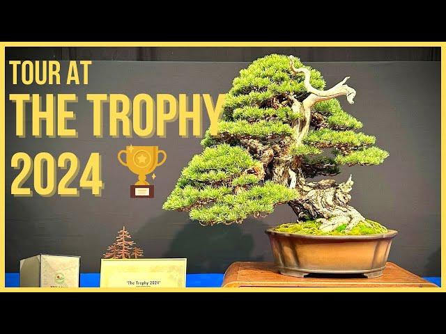 The Trophy 2024 Bonsai Exhibition