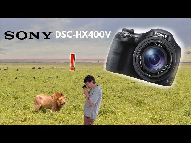 The Sony DSC-HX400V:  A Life-Saving Super zoom?