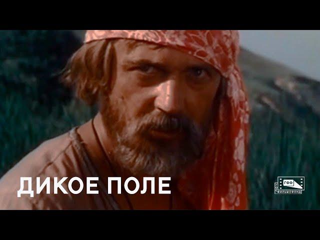 Дикое поле (1991)