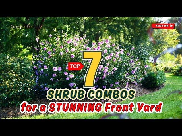 TOP 7 SHRUB COMBOS for a STUNNING Front Yard!  // Gardening Ideas