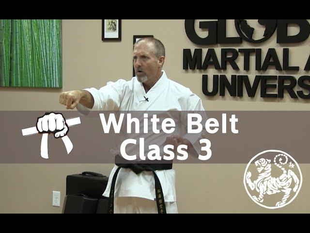 Shotokan Karate Beginner Follow Along Training Class - 9th Kyu White Belt -  Class 3