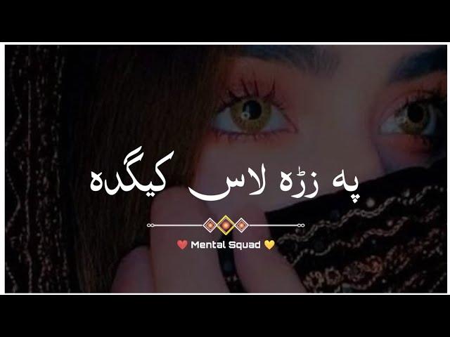 Pa Zrha Las kida  | Pashto Sad Shayari Status | Mental Squad |