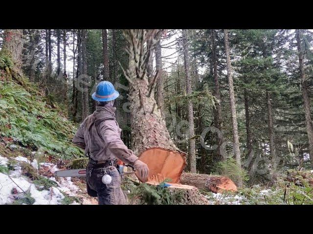 How to SWING a Tree with a DUTCHMAN