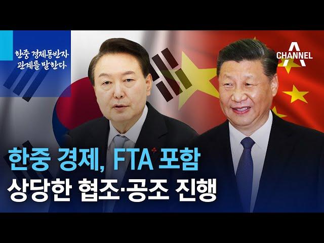 한중 경제, FTA 포함 상당한 협조·공조 진행 | 채널A 특집다큐