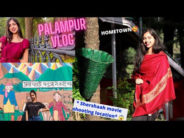 PALAMPUR Vlog | My Hometown | Shershaah movie shooting location | Himachal Pradesh