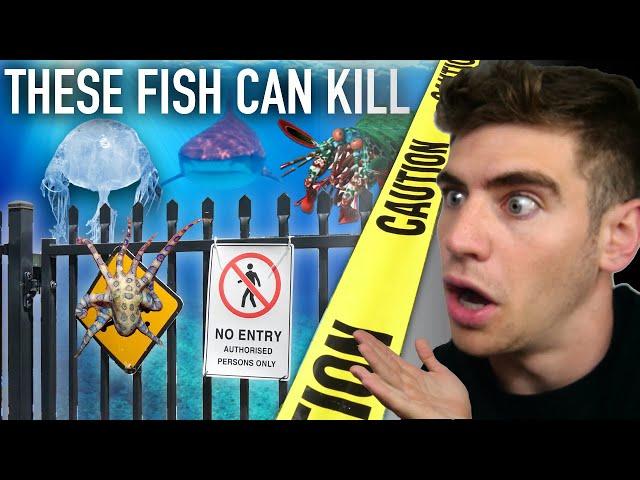 Enter the DEADLIEST Aquarium in the World... (most venomous fish) ️