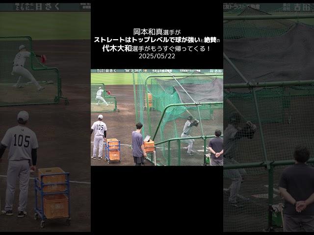 【巨人】岡本和真選手絶賛の代木大和選手がもうすぐ帰ってくる！ #shorts #baseball #sports #ジャイアンツ #巨人 #プロ野球