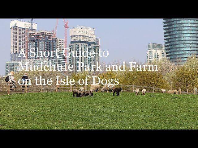 A Short Guide to Mudchute Park and Farm in London