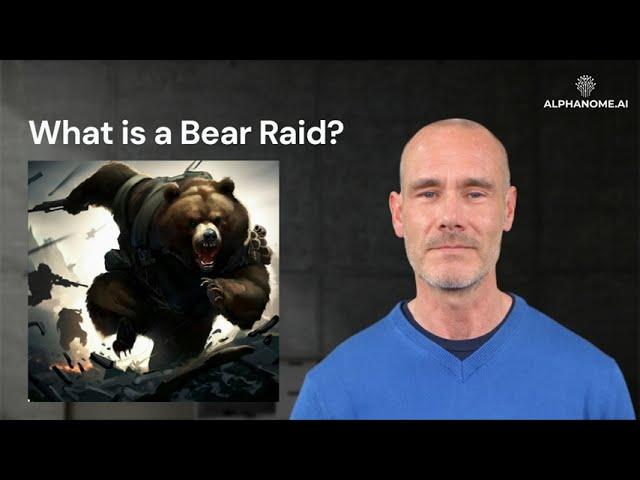 Bear Raid: An Investor's Guide