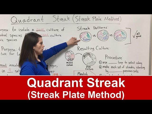 Quadrant Streak (Streak Plate Method)