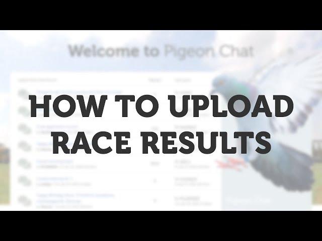 How to Upload Race Results on Pigeon Chat