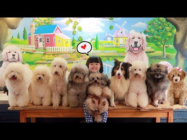 Feeding Cute Dogs | Play with Cute Animals | Heli Guk Guk