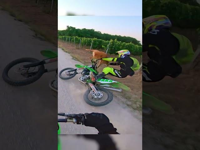 What KNOCKED me from my DIRT BIKE? #motorcycle #crash #fail #enduro