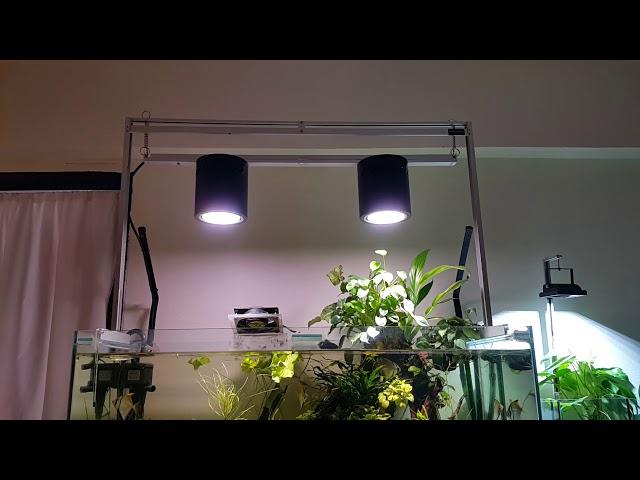 SPECTRA Light : Aquatics lighting and biotope