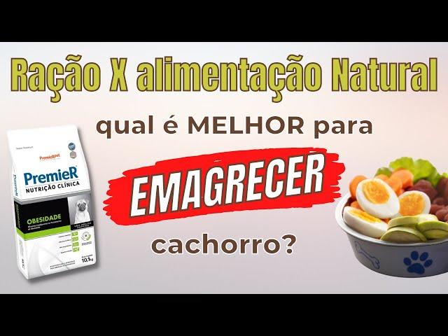 Qual a melhor dieta para emagrecer meu cachorro?