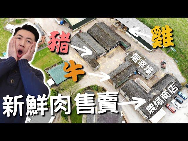 【英國物價 通脹】移民英國 香港人 吃得坎坷？自己煮 對比 外出用餐要多少錢？？