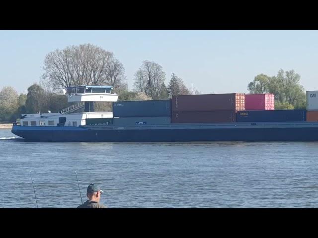 Containerschiff auf dem Rhein bei Rees flussabwärts 12.4.25